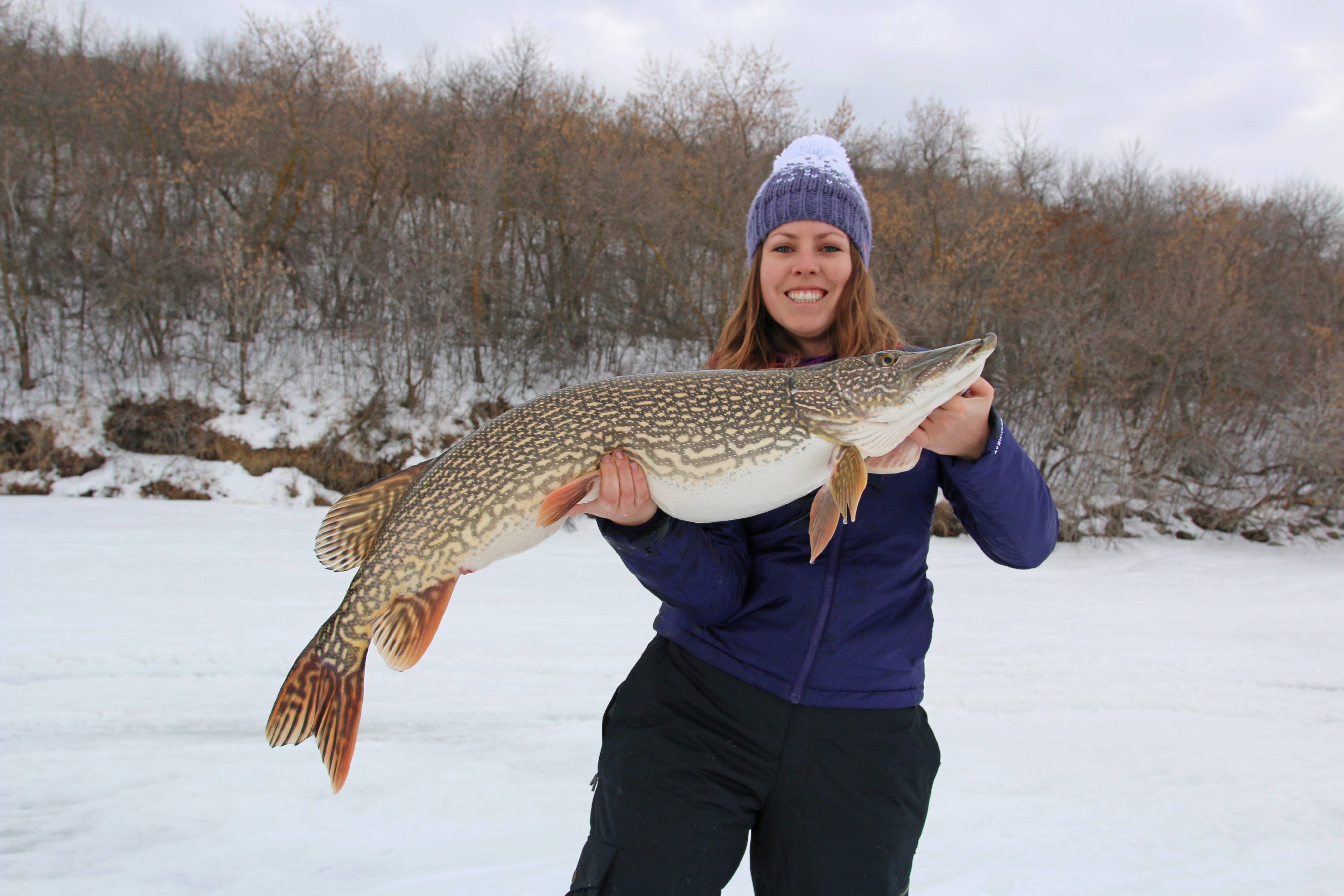 Monster Pike in Saskatchewan!