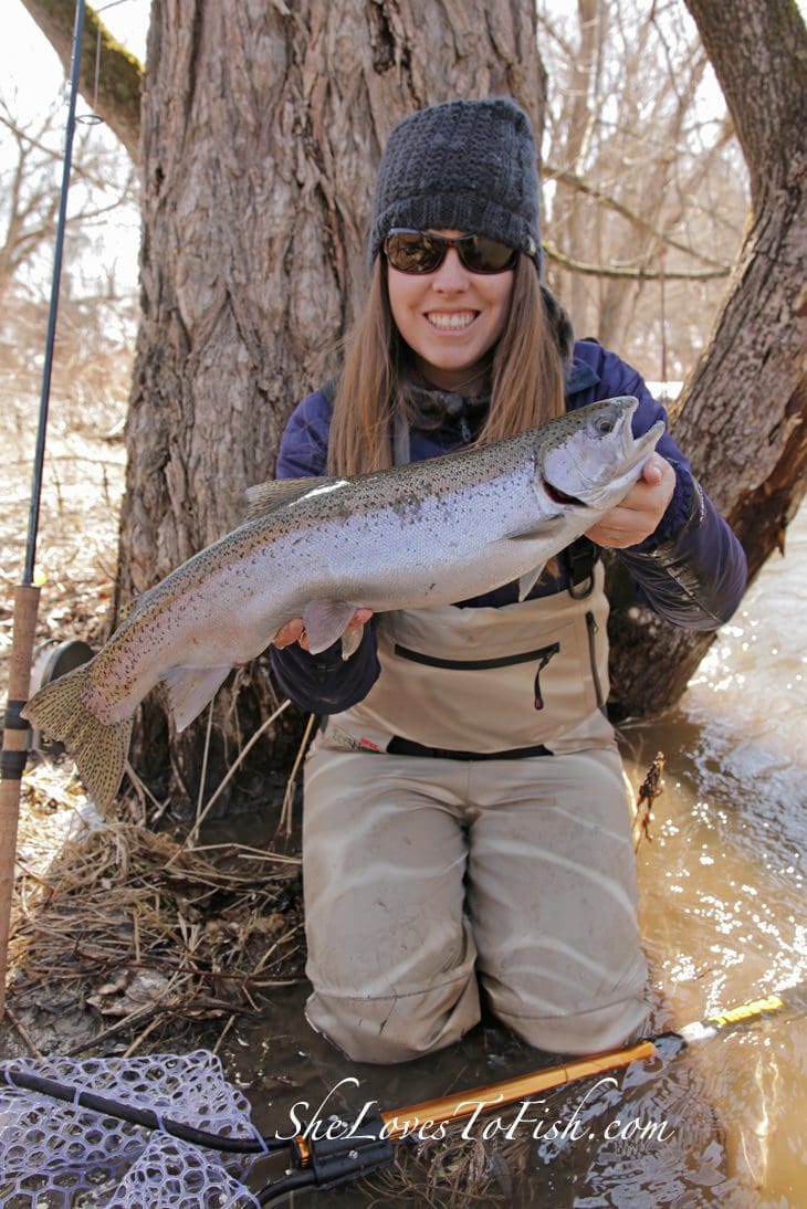 With high water and stained conditions, I was able to catch this fresh-from-the-lake chrome steelhead on my centrepin. 