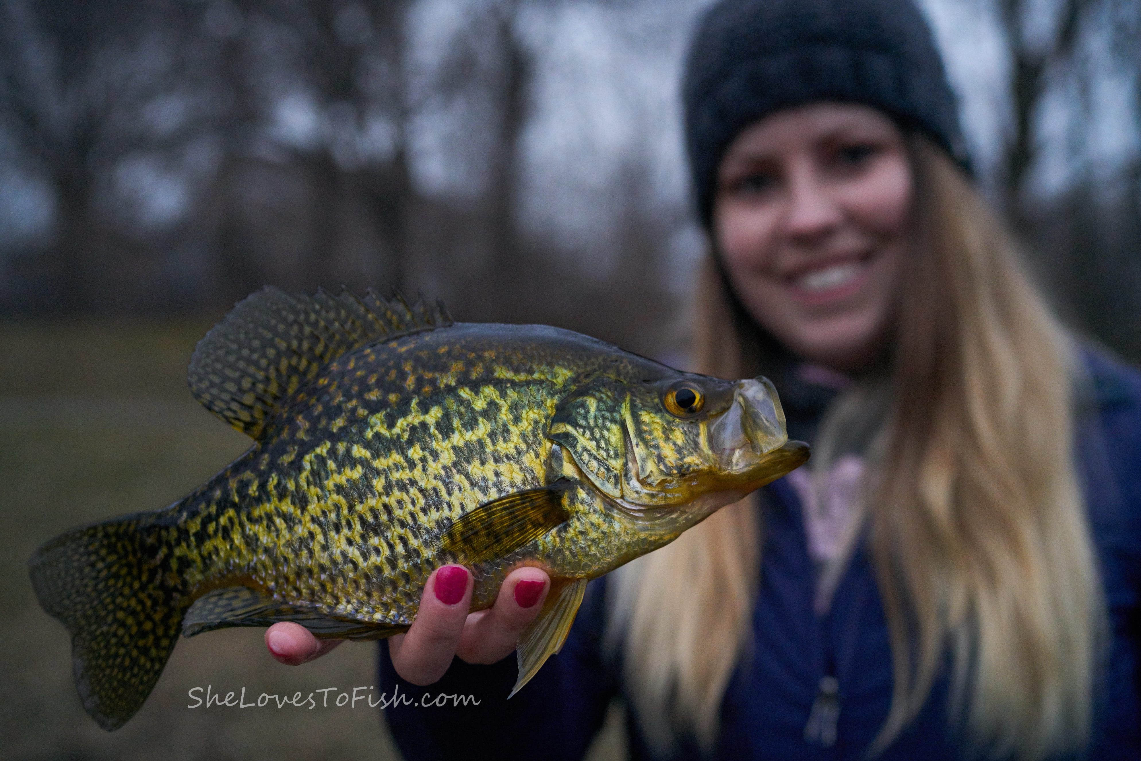 Ice-Out Black Crappies
