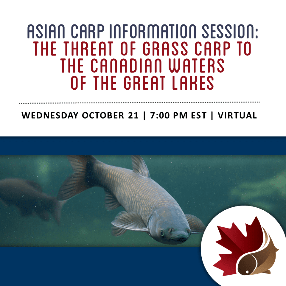 Join Me For A Free Virtual Asian Carp Information Session!